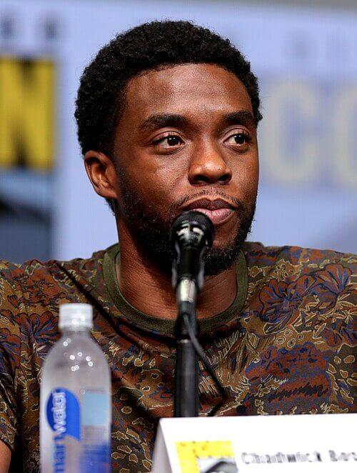 Chadwick Boseman Photo Photo - Chadwick Boseman Photo